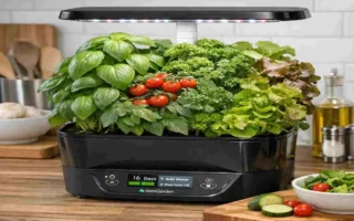 What is the best indoor garden system