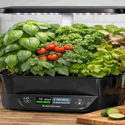 What is the best indoor garden system