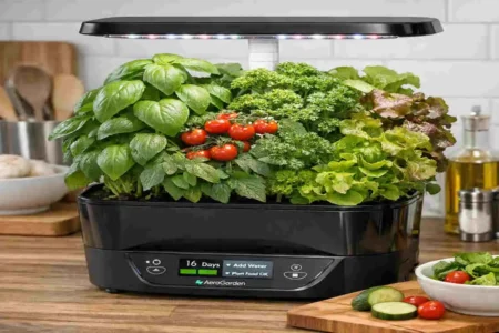 What is the best indoor garden system