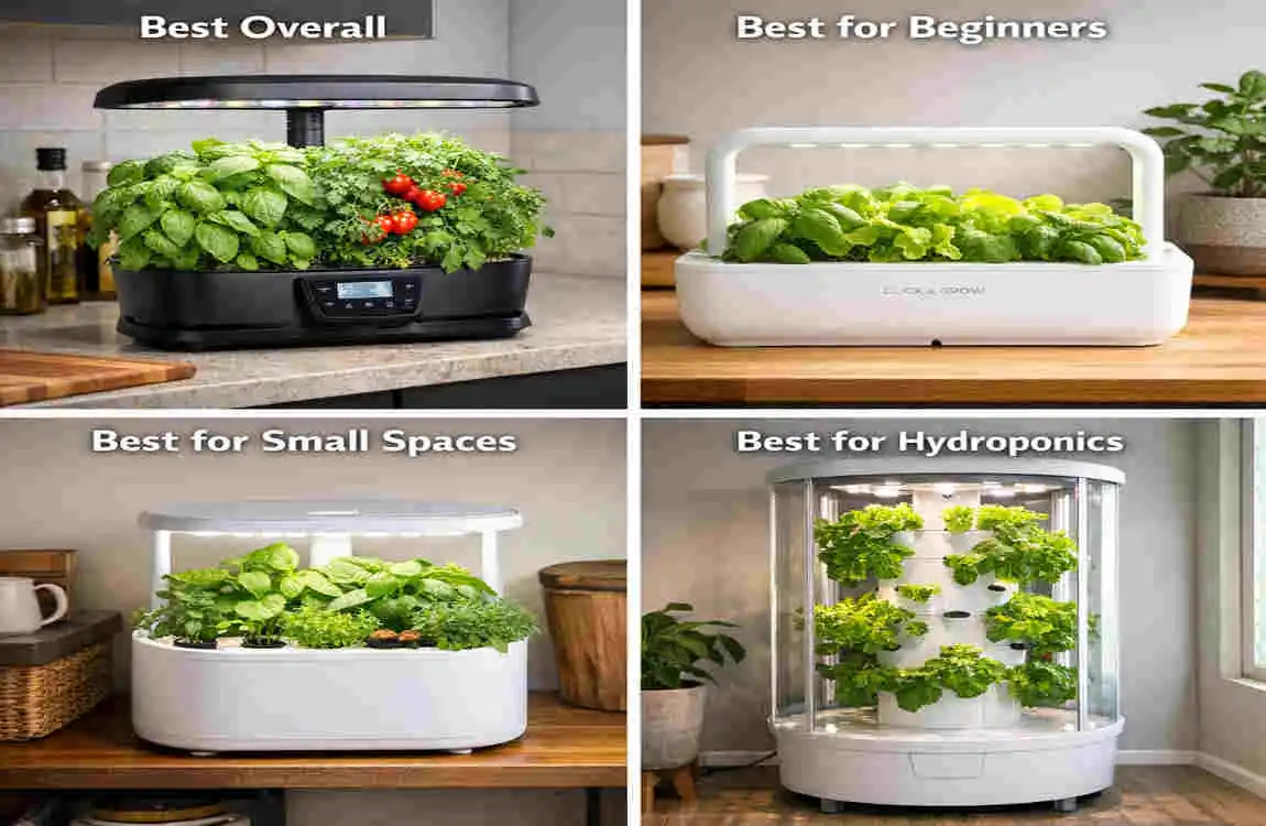 What is the best indoor garden system