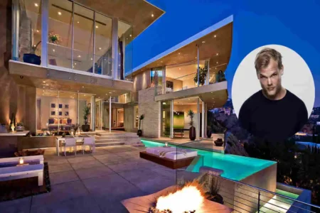 DJ Avicii’s Homes