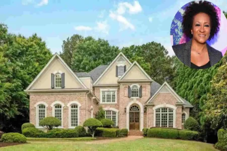 Wanda Sykes' Stylish House