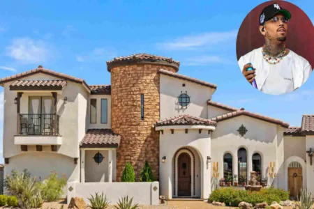 Chris Brown House