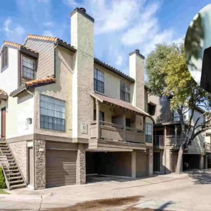 Henry Samueli House