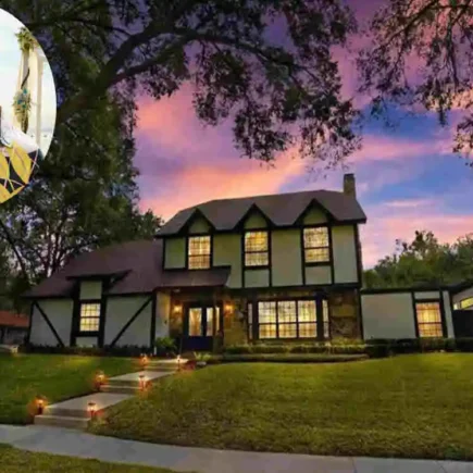 David Bromstad's Dream House