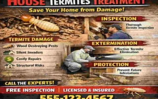 house termites treatment