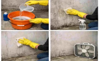 How to Clean Basement Walls