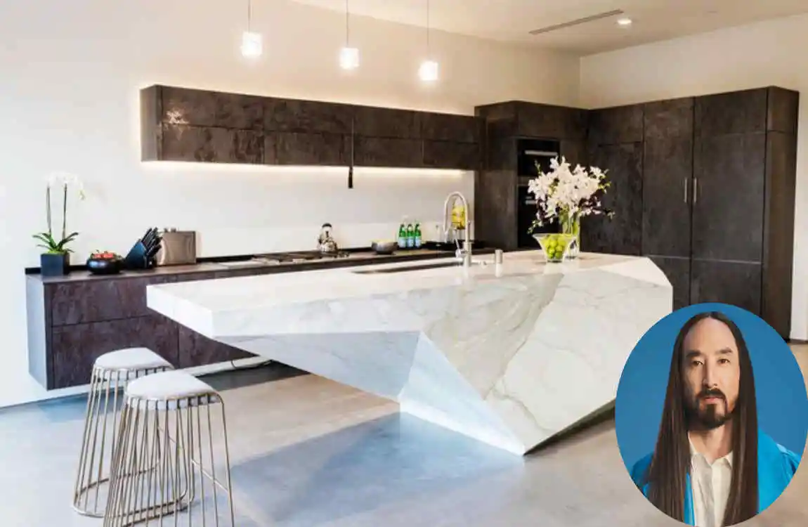 Steve Aoki's House
