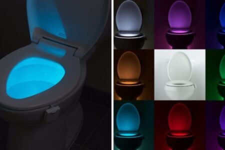 illumibowl net worth