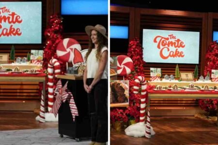 tomte cake net worth