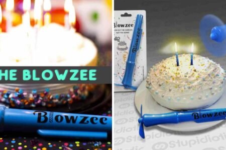 blowzee net worth