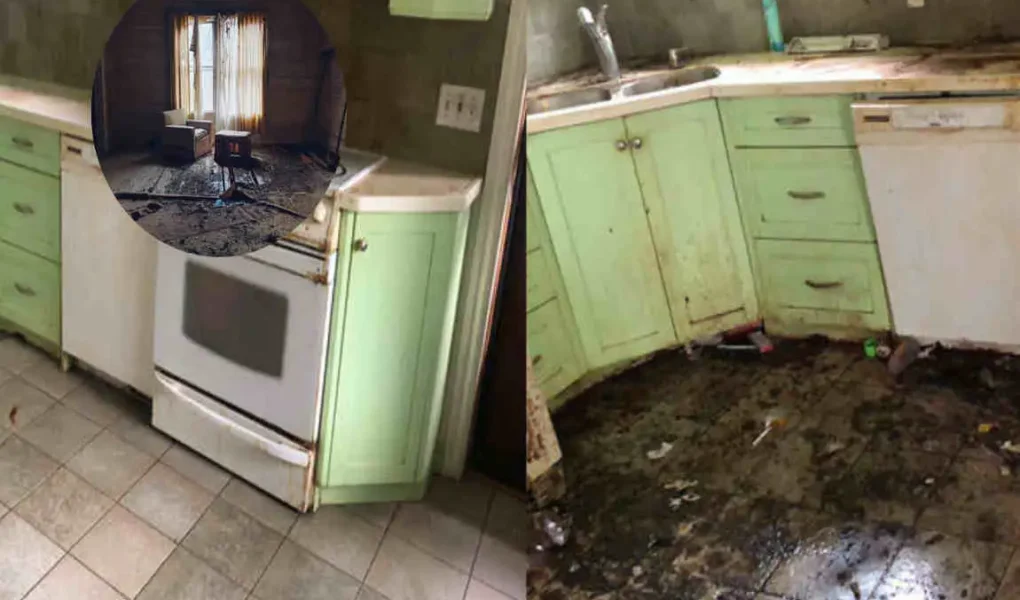 how to clean an abandoned house