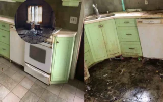 how to clean an abandoned house
