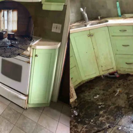 how to clean an abandoned house