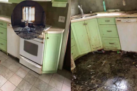 how to clean an abandoned house