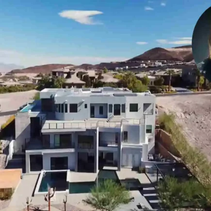 Steve Aoki's House