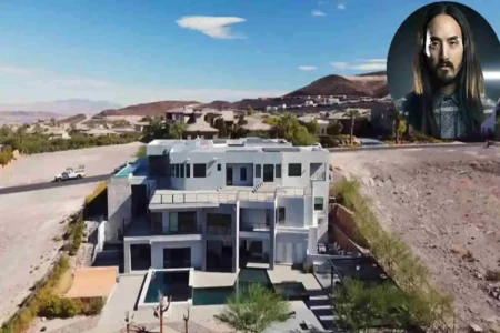 Steve Aoki's House