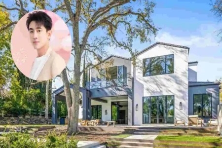 Lin Gengxin's House Tour