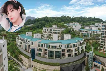 Kim Tae-hyung house