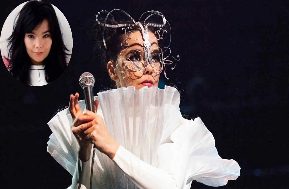 björk house iceland