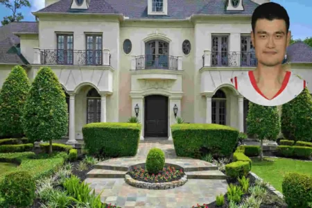 Yao Ming House