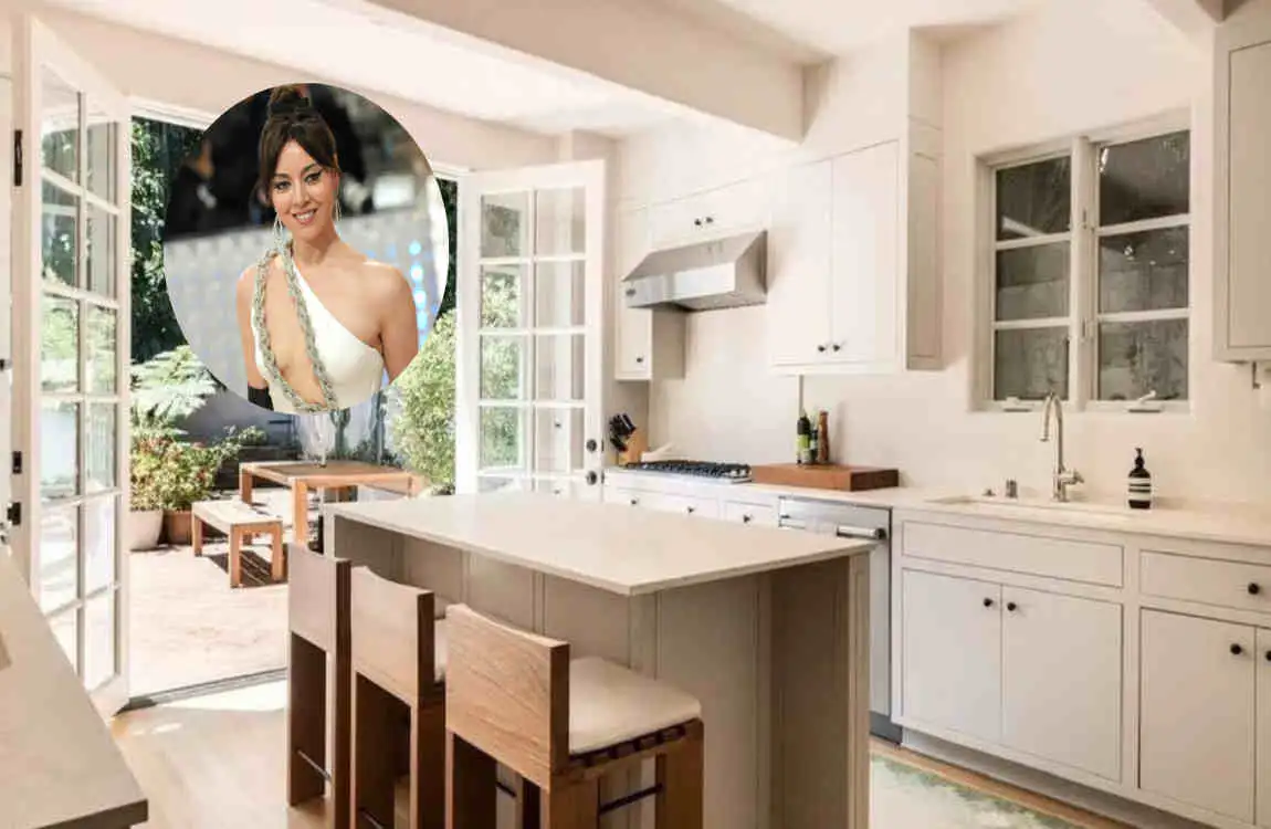 Aubrey Plaza's House