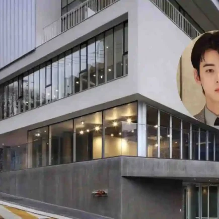 Cha Eun-woo House