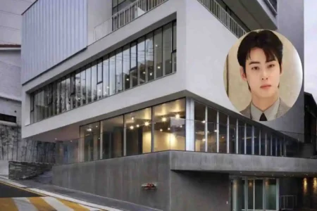 Cha Eun-woo House