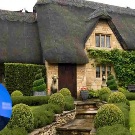 Andrew Witty House