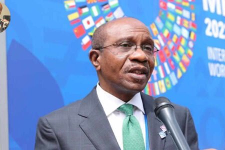 emefiele net worth