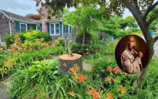 Dave Chapelles House