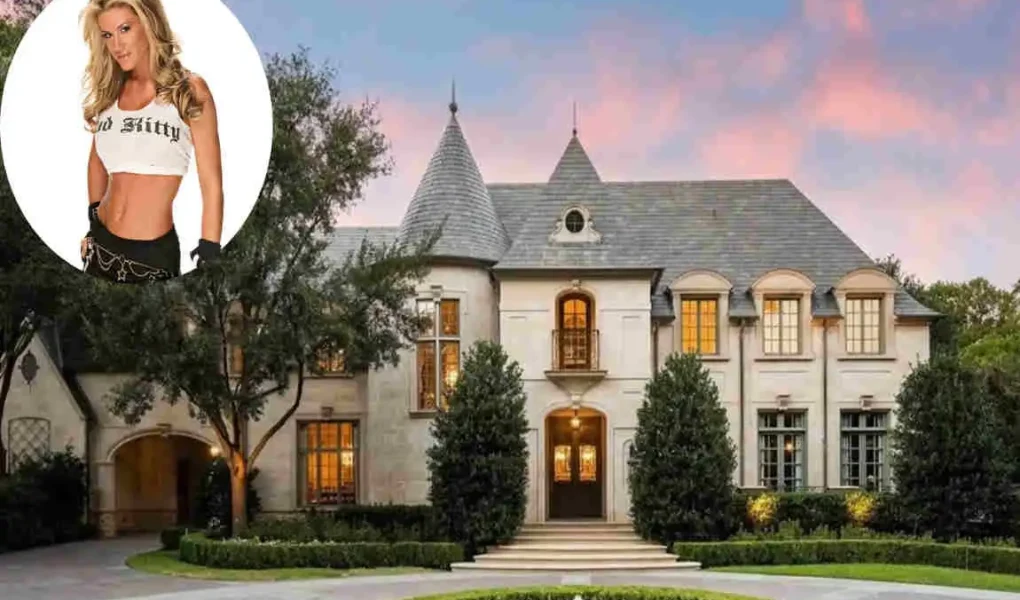 Ashley Massaro's Home