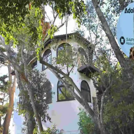 Juliette Lewis's Home