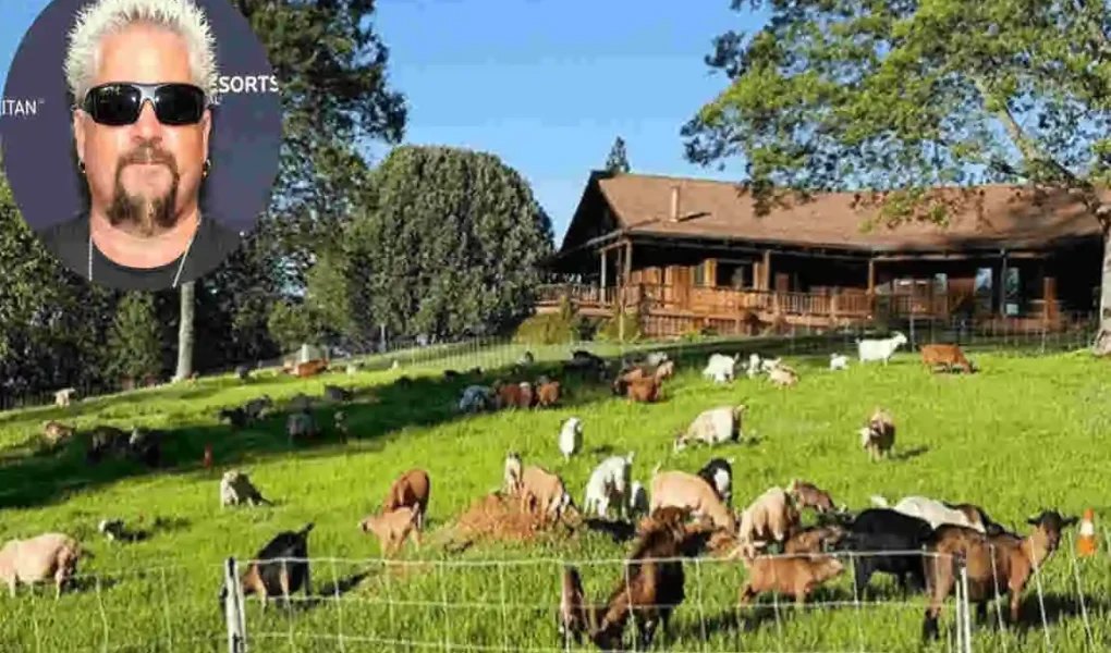 Guy Fieri's California Dream Home