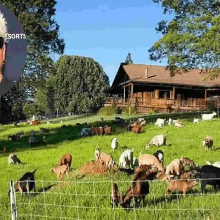 Guy Fieri's California Dream Home