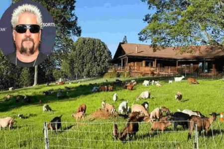 Guy Fieri's California Dream Home