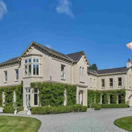 Conor McGregor's House