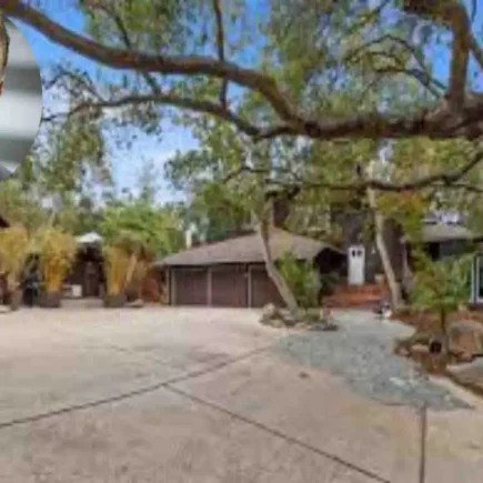 arnold schwarzenegger