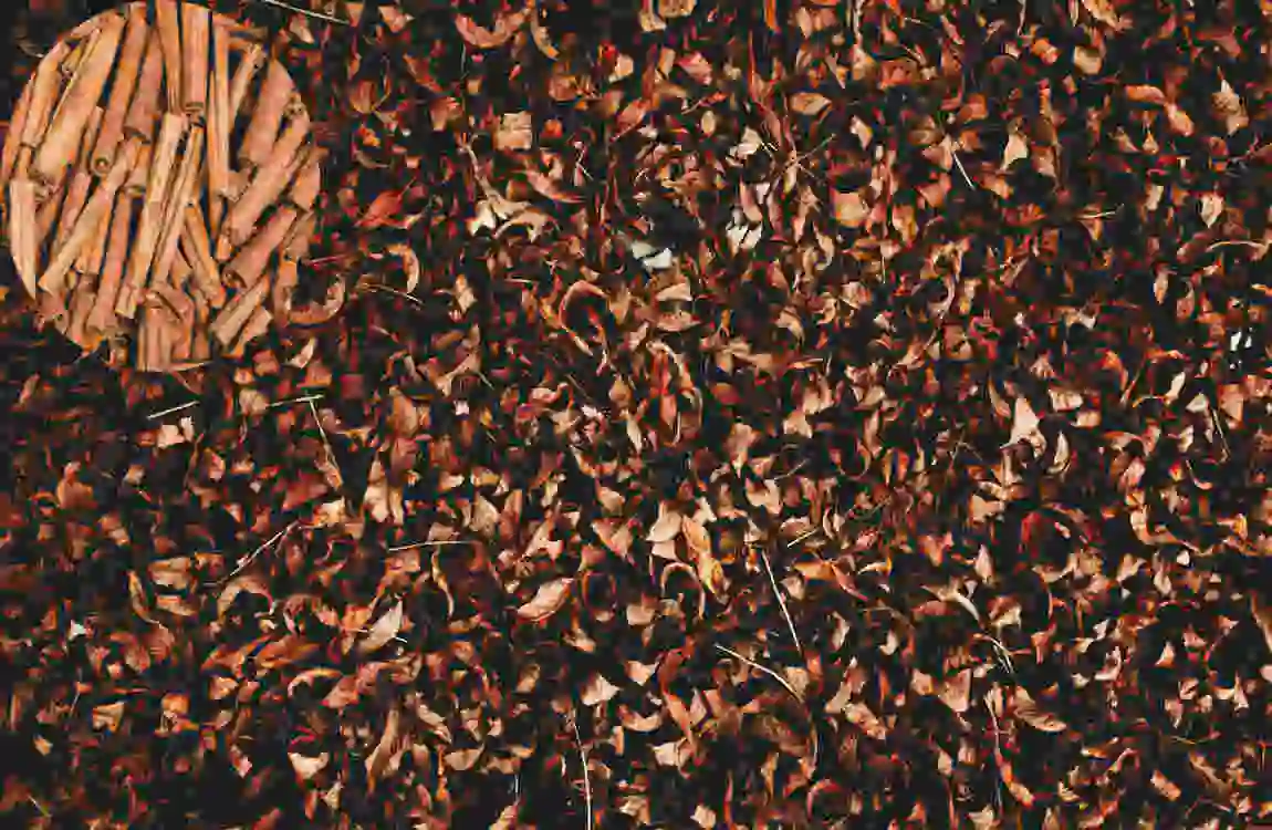 how to make house smell like cinnamon