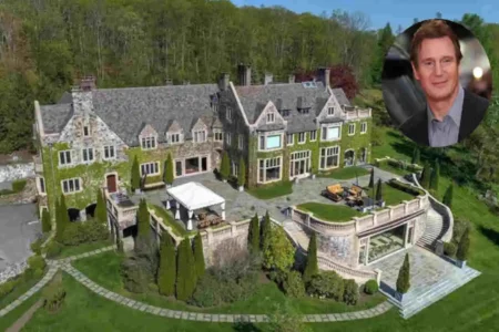 liam neeson house md