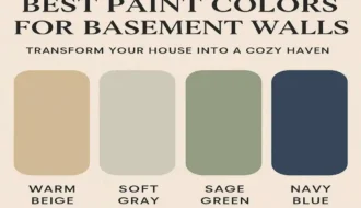 Best Paint Colors for Basement Walls : Transform Your House into a Cozy Haven
