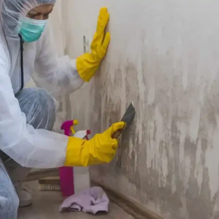 Ultimate Guide: How to Clean Basement Mold in Your Home Safely & Effectively