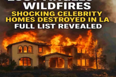 celebrity loss angel house