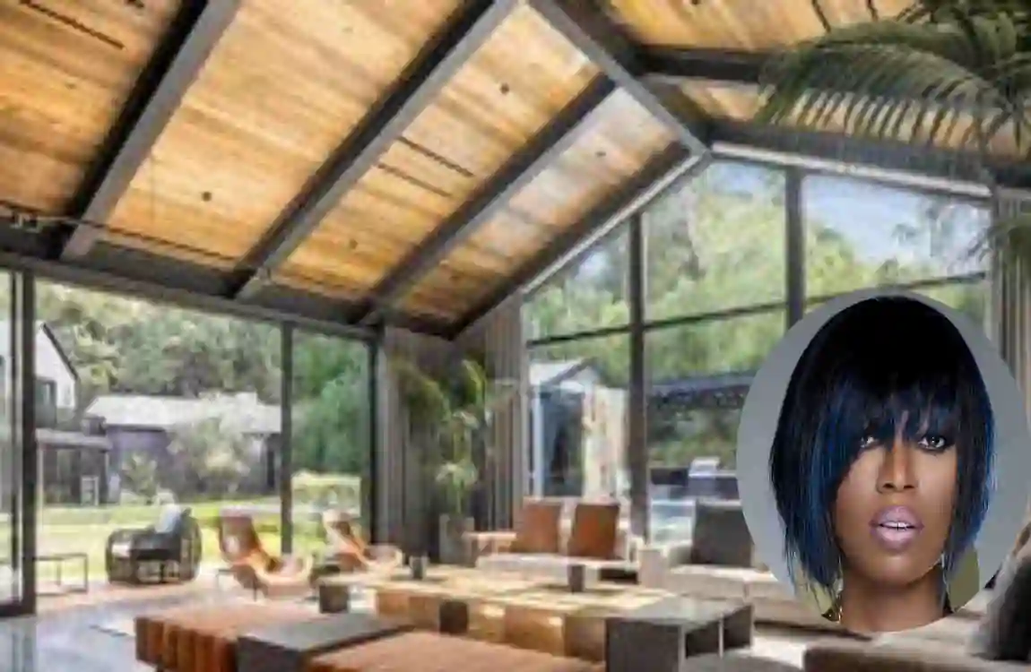 Missy Elliotts house