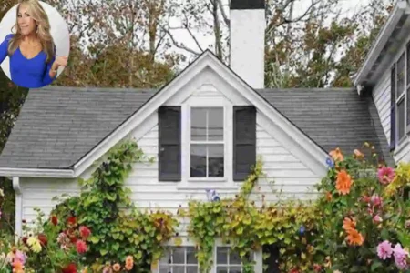 Lori Greiner's Home