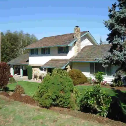 Krist Novoselic's House