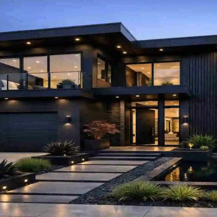 Modern Black Home