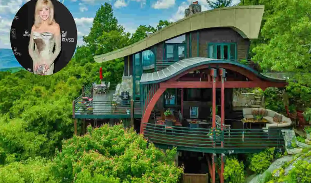 Loni Anderson House