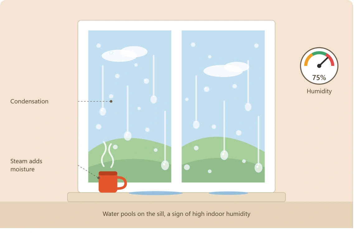 how to control moisture in house